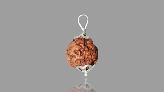 3 MUKHI RUDRAKSHA (20.92 mm)