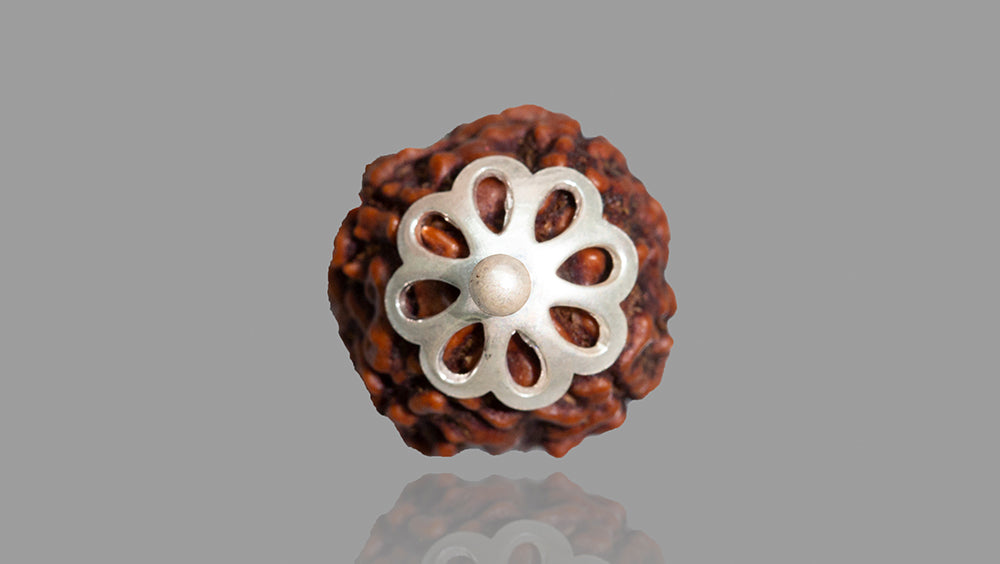 4 MUKHI RUDRAKSHA (20.01 mm)