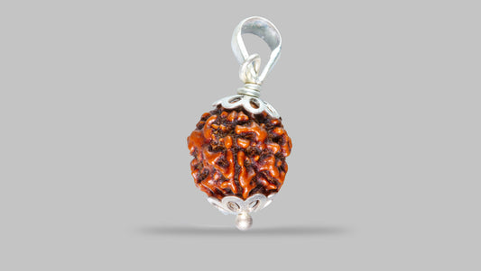 4 MUKHI RUDRAKSHA (18.40 mm)