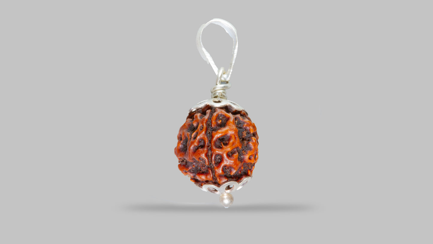 4 MUKHI RUDRAKSHA (18.01 mm)