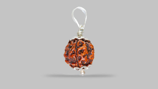 4 MUKHI RUDRAKSHA (18.01 mm)