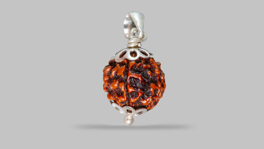 4 MUKHI RUDRAKSHA (18.45 mm)