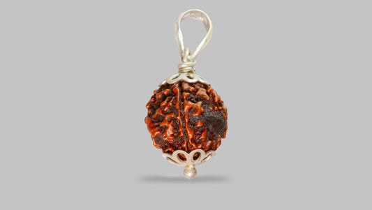 4 MUKHI RUDRAKSHA (19.51 mm)