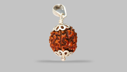 4 MUKHI RUDRAKSHA (18.57 mm)