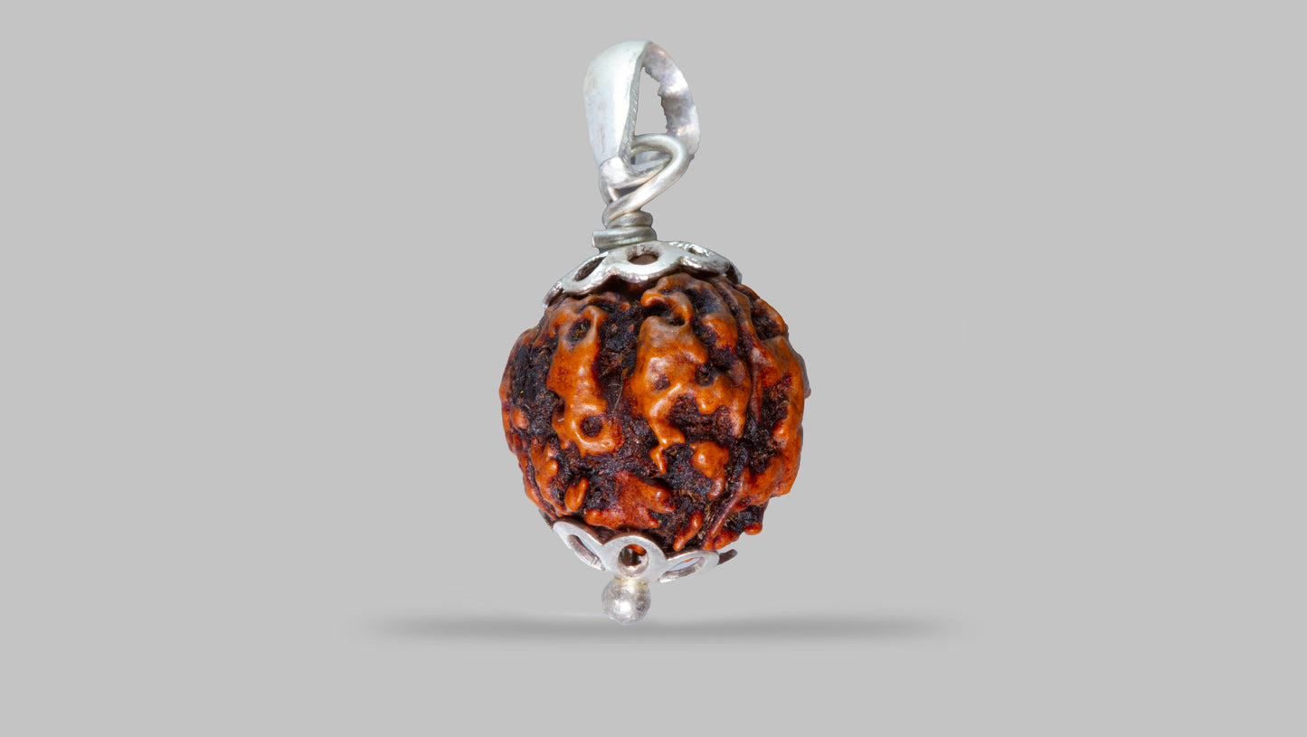 4 MUKHI RUDRAKSHA (20.16 mm)