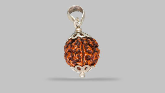 4 MUKHI RUDRAKSHA (18.93 mm)