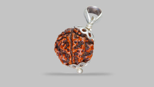 4 MUKHI RUDRAKSHA (18.51 mm)