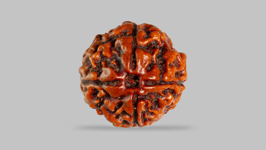 4 MUKHI RUDRAKSHA (17.76 mm)