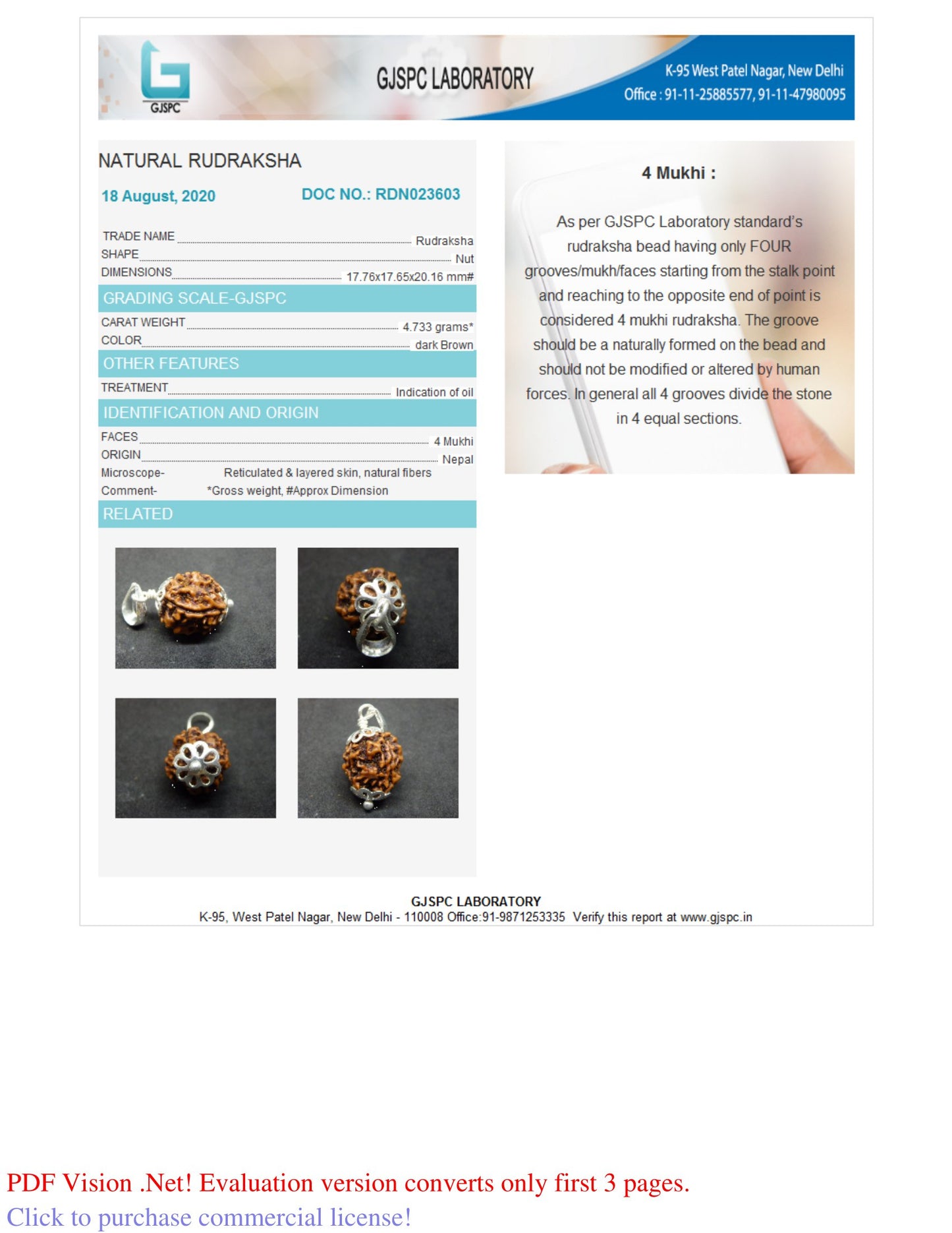 4 MUKHI RUDRAKSHA (20.16 mm)