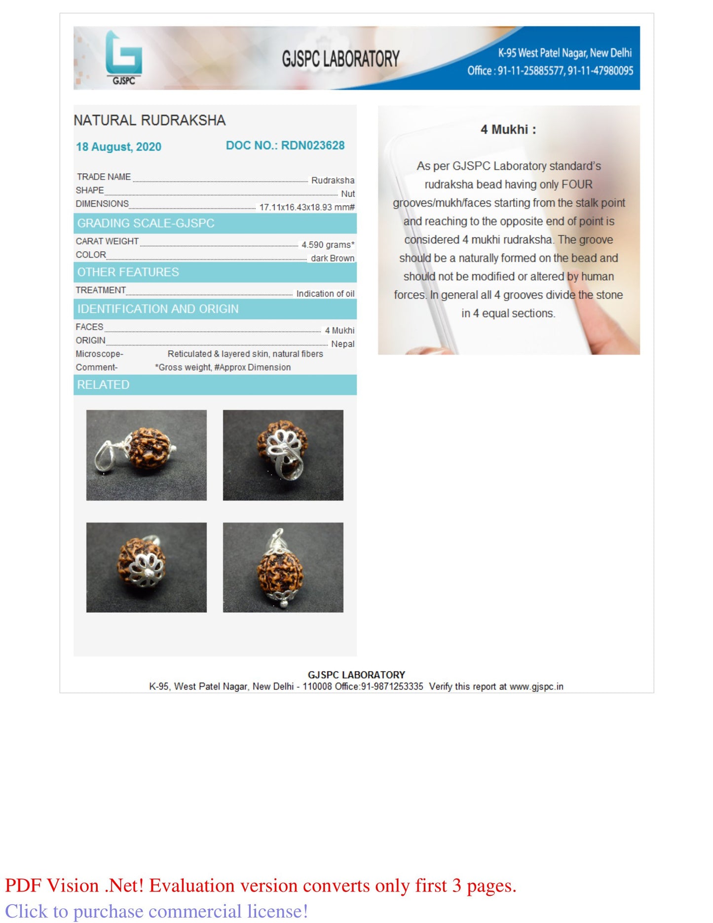 4 MUKHI RUDRAKSHA (18.93 mm)