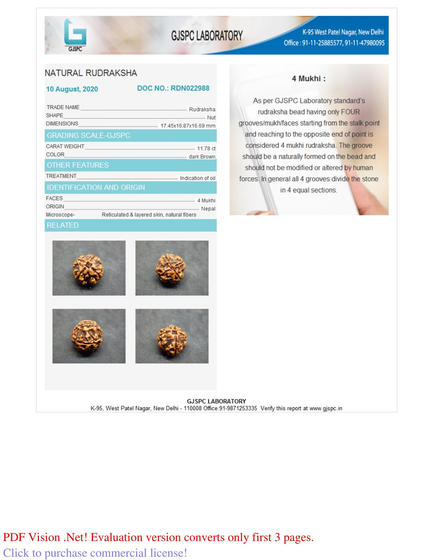 4 MUKHI RUDRAKSHA (17.45 mm)