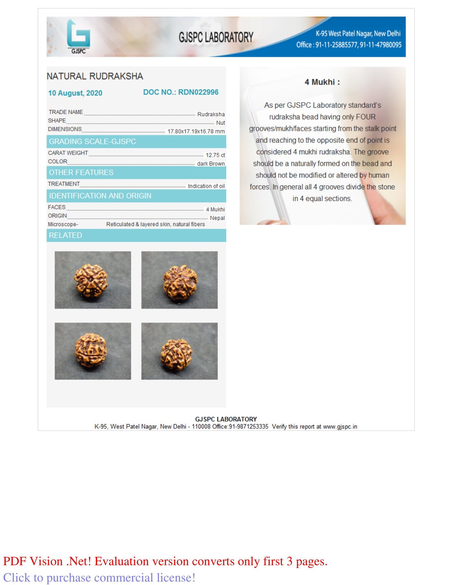 4 MUKHI RUDRAKSHA (17.80 mm)
