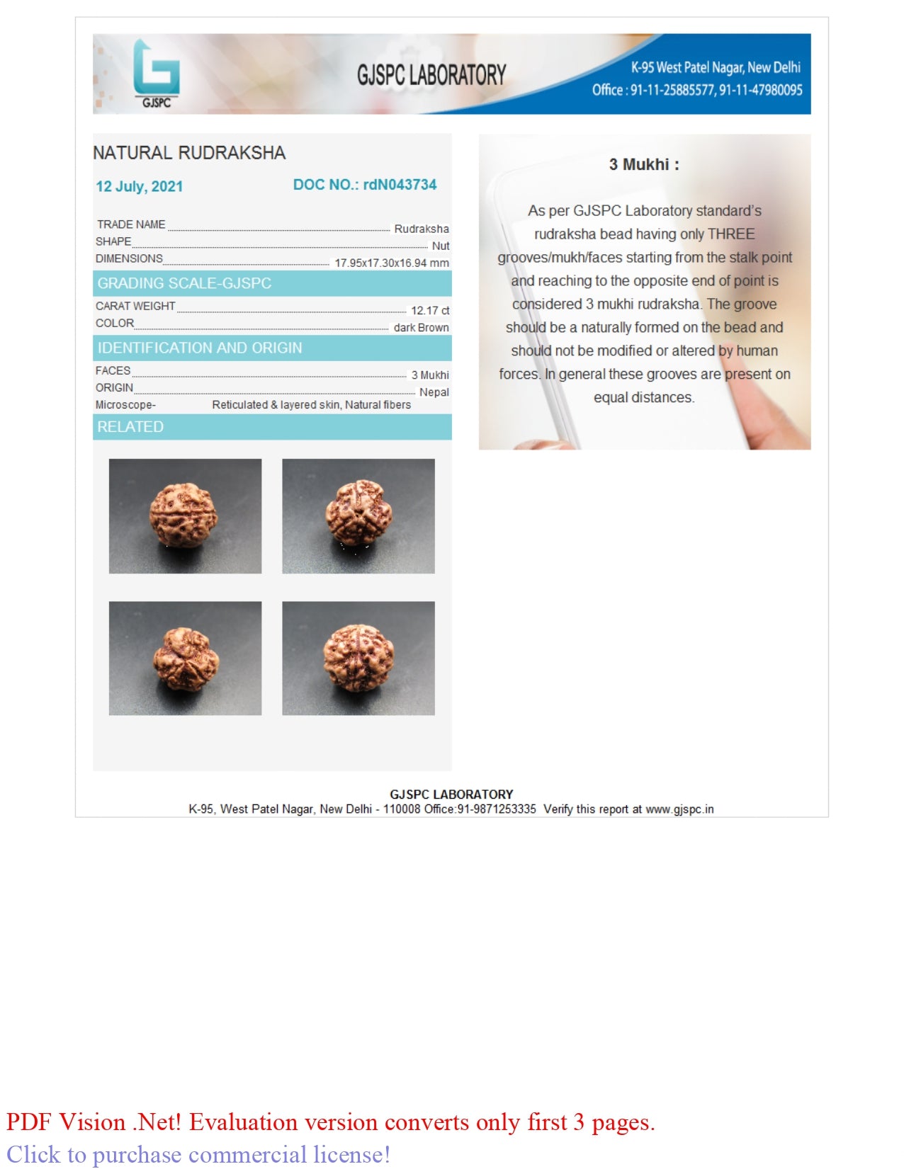 3 MUKHI RUDRAKSHA (17.95 mm)