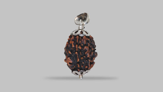 3 MUKHI RUDRAKSHA (22.33 mm)
