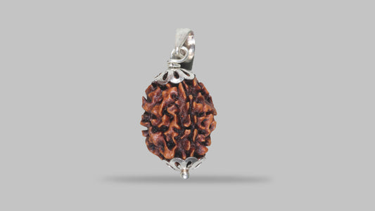 3 MUKHI RUDRAKSHA (22.07 mm)