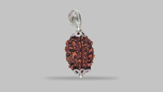 3 MUKHI RUDRAKSHA (22.31 mm)