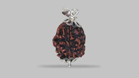 3 MUKHI RUDRAKSHA (21.47 mm)