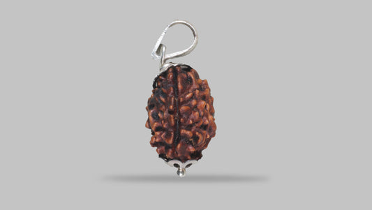3 MUKHI RUDRAKSHA (22.26 mm)
