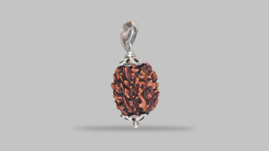 3 MUKHI RUDRAKSHA (21.40 mm)