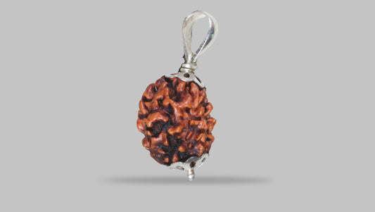 3 MUKHI RUDRAKSHA (19.61 mm)