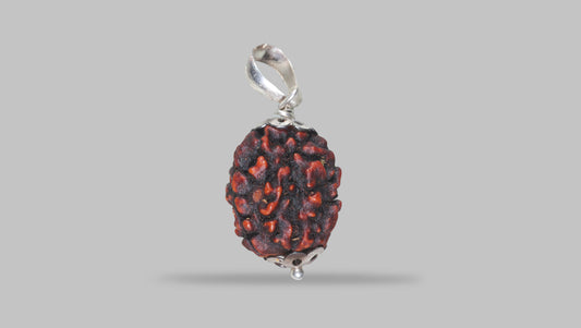 3 MUKHI RUDRAKSHA (21.15 mm)