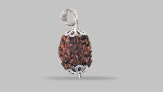 3 MUKHI RUDRAKSHA (20.78 mm)