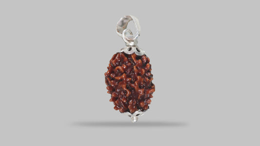 3 MUKHI RUDRAKSHA (20.80 mm)