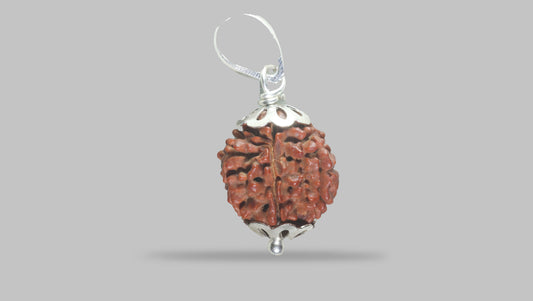6 MUKHI RUDRAKSHA (17.40 mm)