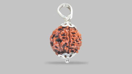 4 MUKHI RUDRAKSHA (18.80 mm)