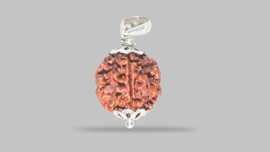 4 MUKHI RUDRAKSHA(18.55 mm)