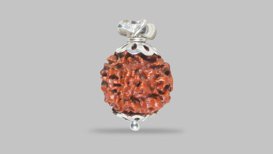4 MUKHI RUDRAKSHA (17.36 mm)