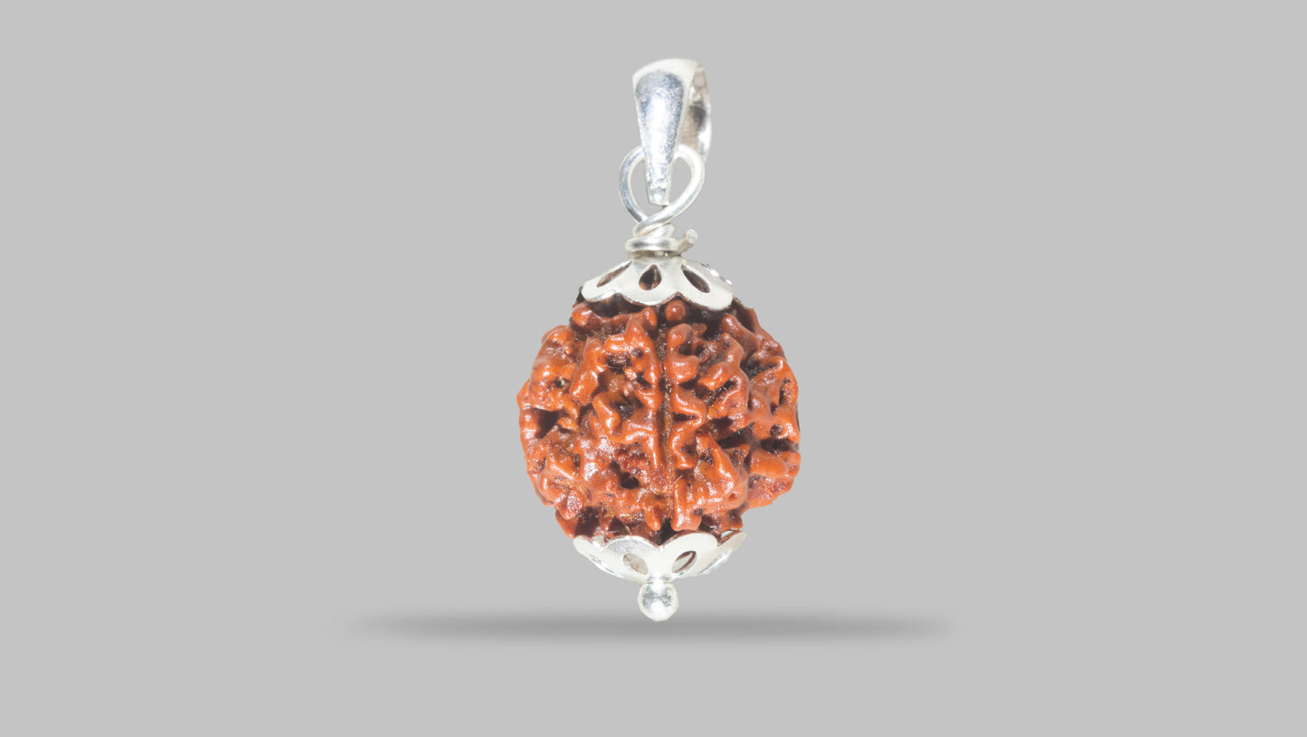 4 MUKHI RUDRAKSHA (17.71 mm)