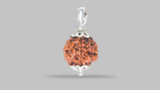 4 MUKHI RUDRAKSHA (17.71 mm)