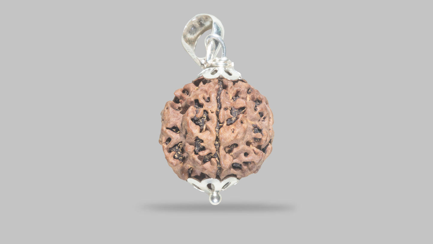 4 MUKHI RUDRAKSHA (21.30 mm)