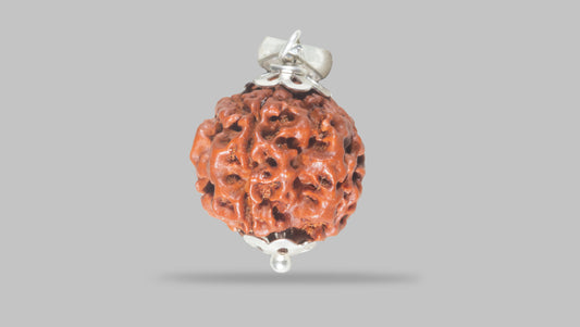 4 MUKHI RUDRAKSHA (20.52 mm)