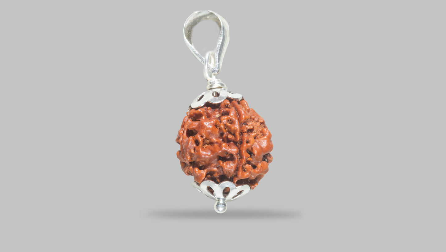 4 MUKHI RUDRAKSHA (17.30 mm)