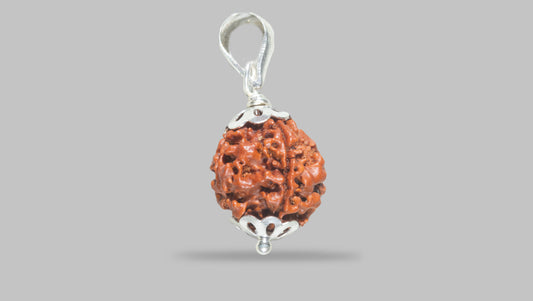 4 MUKHI RUDRAKSHA (17.30 mm)