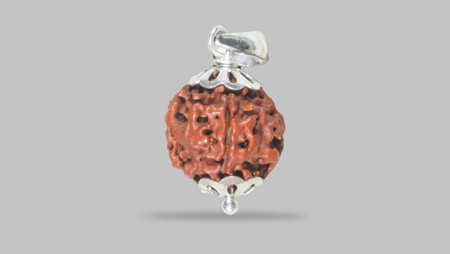 4 MUKHI RUDRAKSHA (17.87 mm)