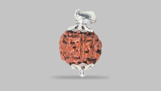 4 MUKHI RUDRAKSHA (17.87 mm)