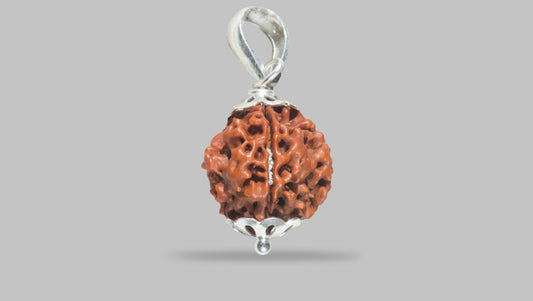 4 MUKHI RUDRAKSHA (19.05 mm)