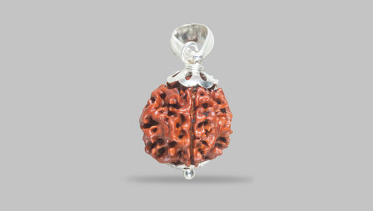 4 MUKHI RUDRAKSHA (18.85 mm)