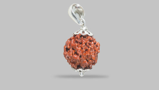 4 MUKHI RUDRAKSHA (18.00 mm)