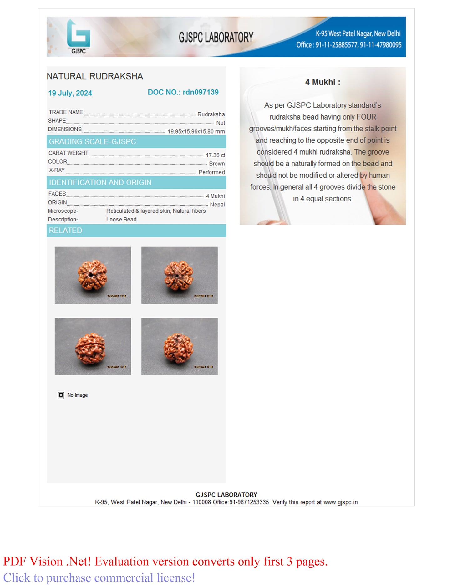 4 MUKHI RUDRAKSHA (19.95 mm)