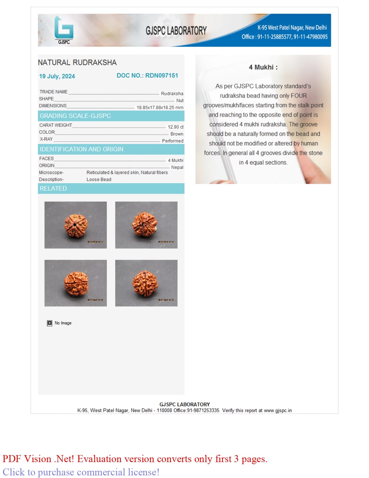 4 MUKHI RUDRAKSHA (18.85 mm)