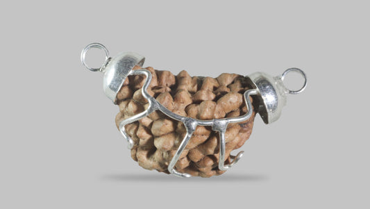 1 MUKHI RUDRAKSHA (21.65 mm)