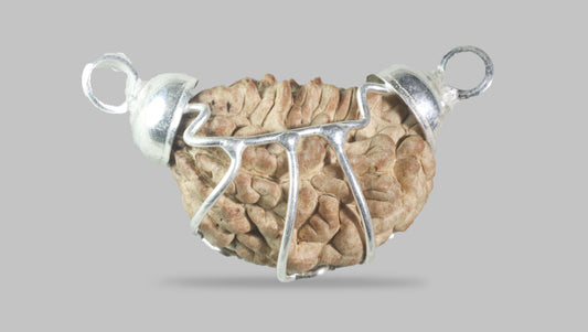 1 MUKHI RUDRAKSHA (22.71 mm)