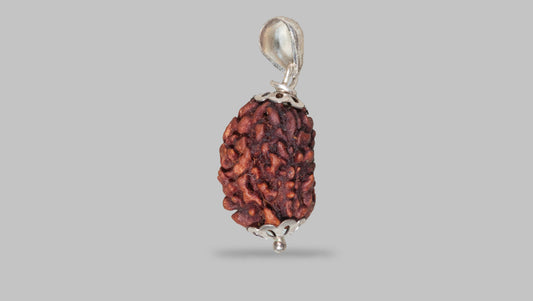 3 MUKHI RUDRAKSHA (23.17 mm)