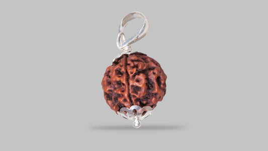 4 MUKHI RUDRAKSHA (18.15 mm)