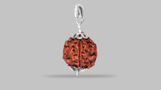 4 MUKHI RUDRAKSHA (18.70 mm)