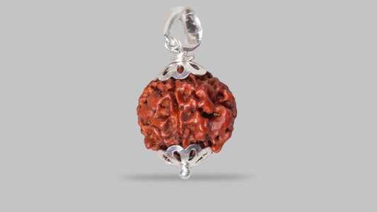 4 MUKHI RUDRAKSHA (18.90 mm)